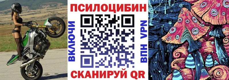 Галлюциногенные грибы Psilocybe  как найти закладки  Якутск 