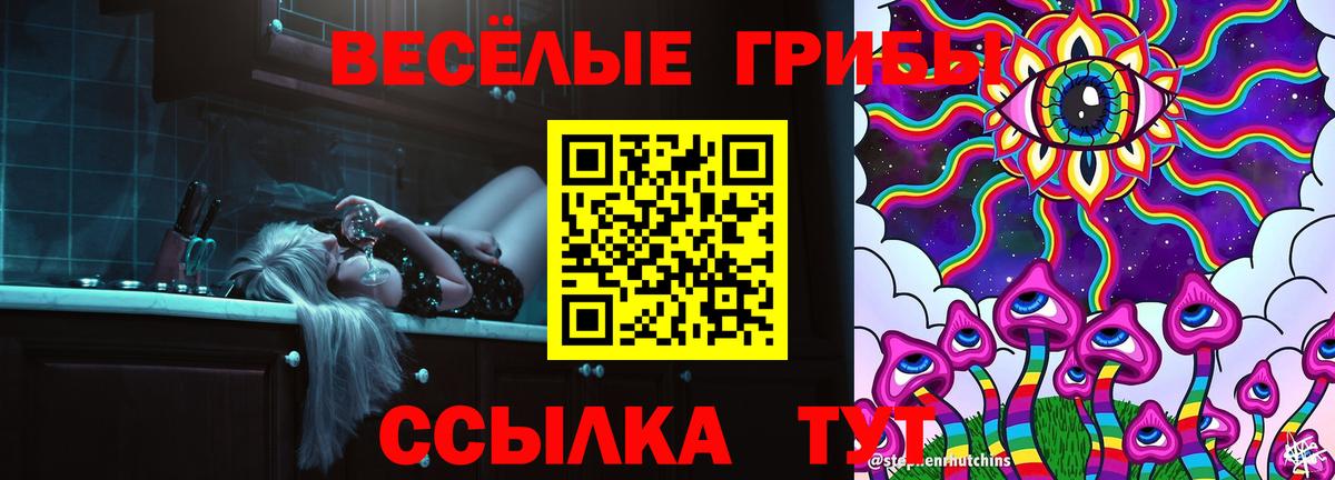 Галлюциногенные грибы Psilocybine cubensis Якутск