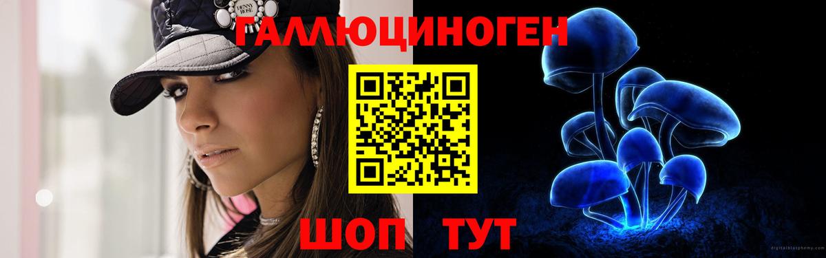 Галлюциногенные грибы MAGIC MUSHROOMS  Вход с VPN  Якутск 